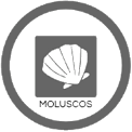 Traza: Moluscos